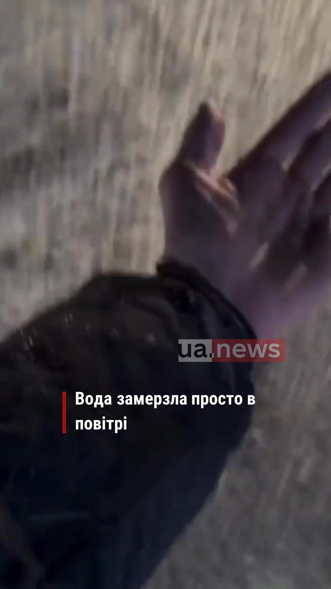 @UA.NEWS