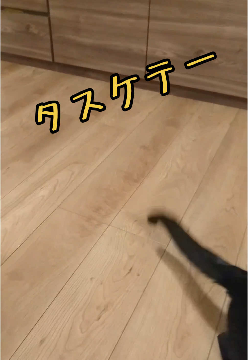 @Chikurokie