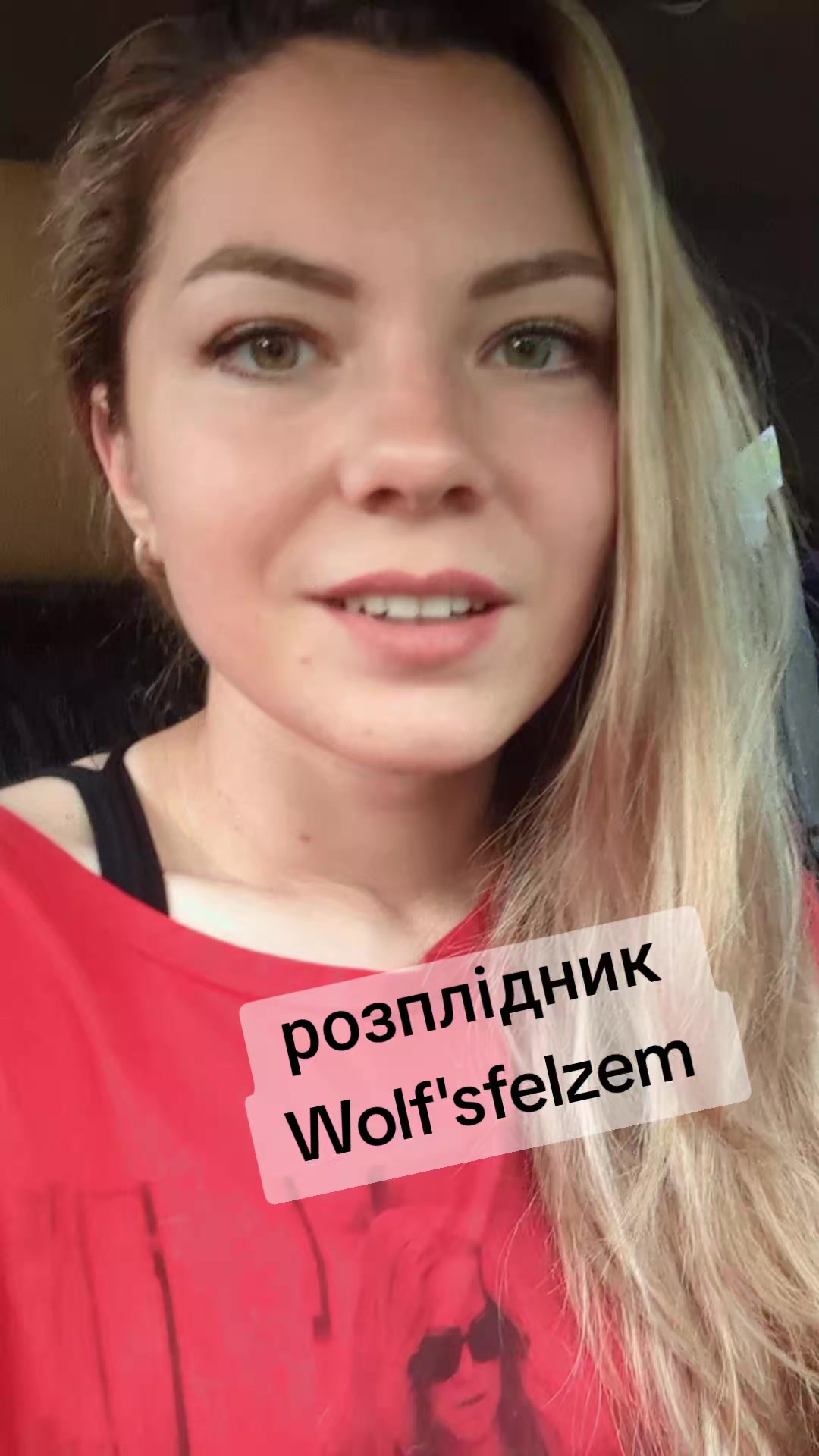 @вівчарки "Wolf'sfelzem"