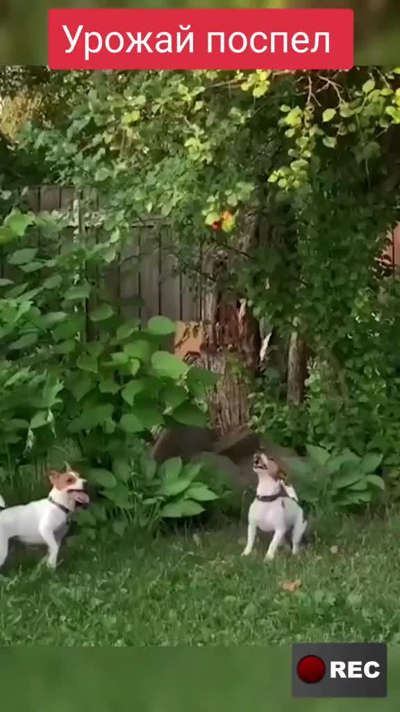 @Лариса