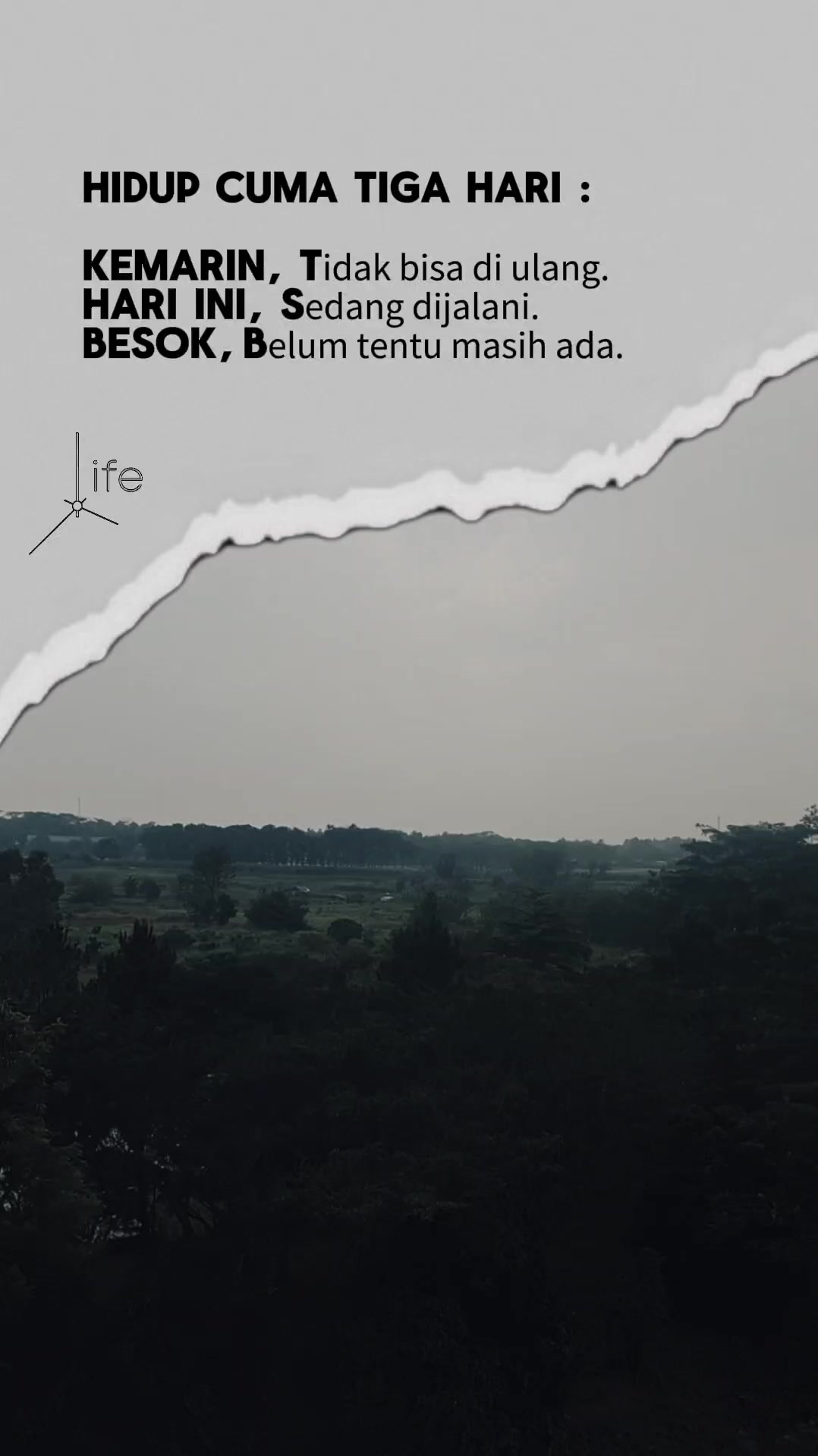 @cerel13shop