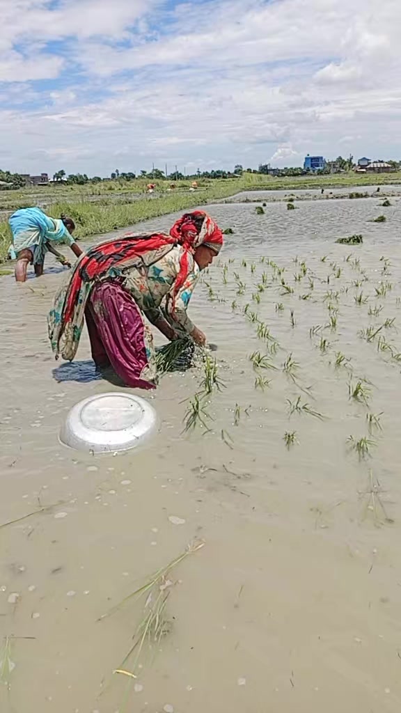 @Samjhana Chaudhary