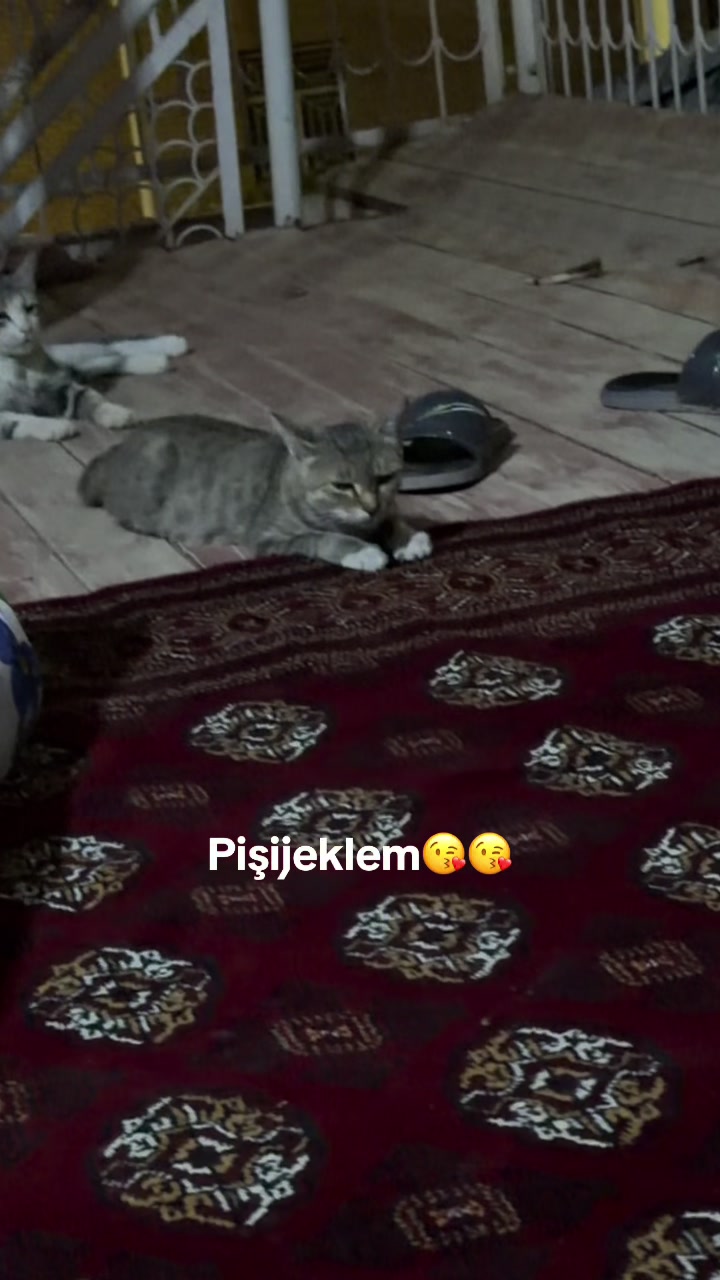 @dr.GunchaAtajanowna