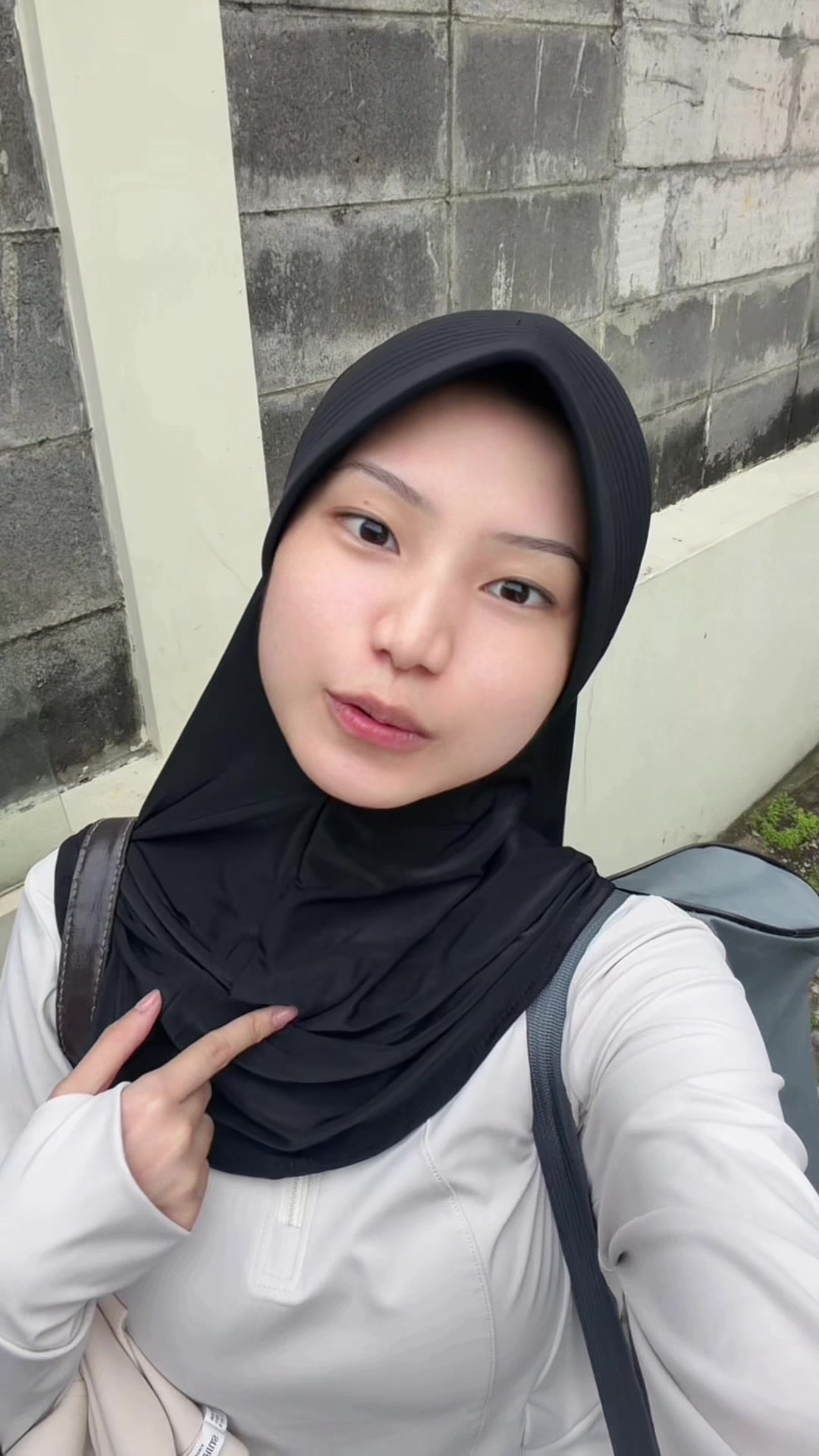 @meowconnect