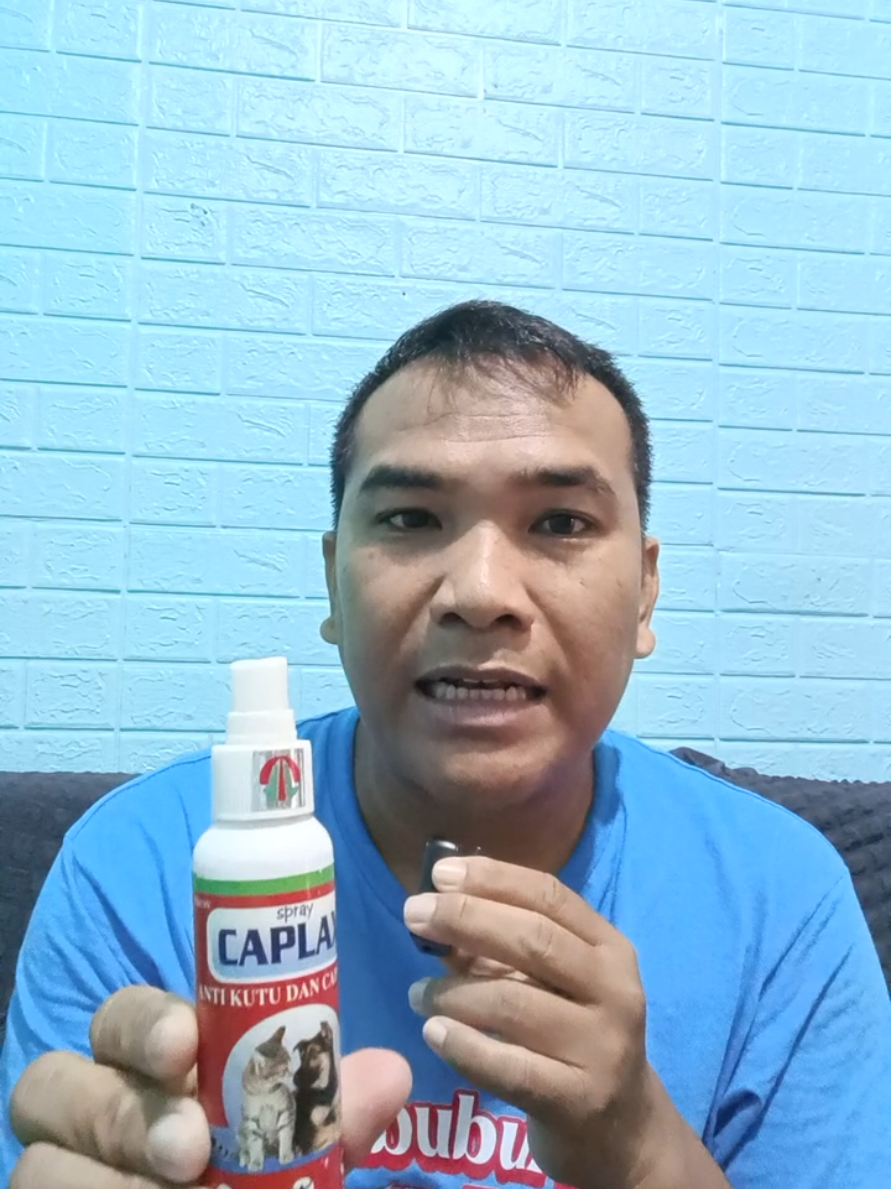 @AQJ News.com @andes yohandes