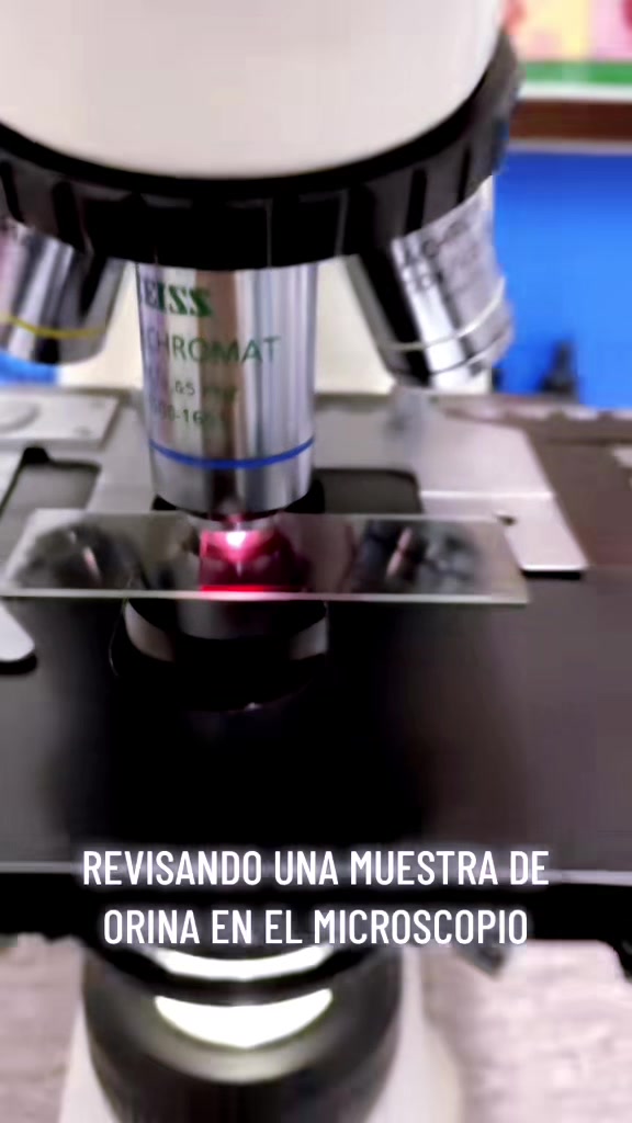@ALab 🔬💉🩸