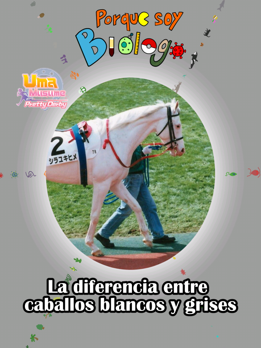 @Porque soy Biólogo