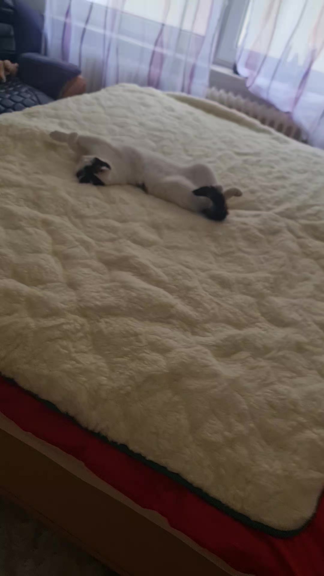 @😛Катюша😛