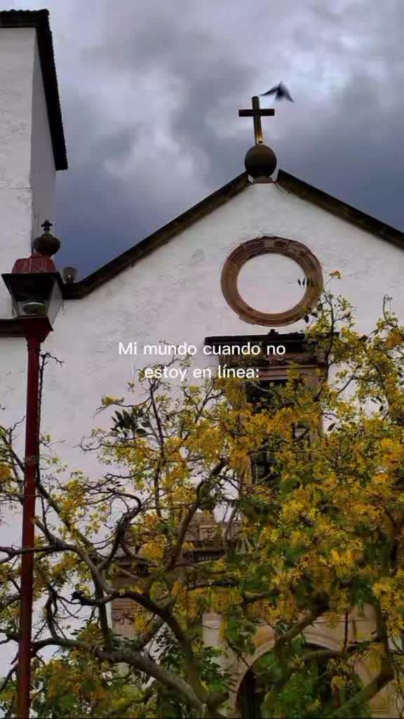 @ErickPulques
