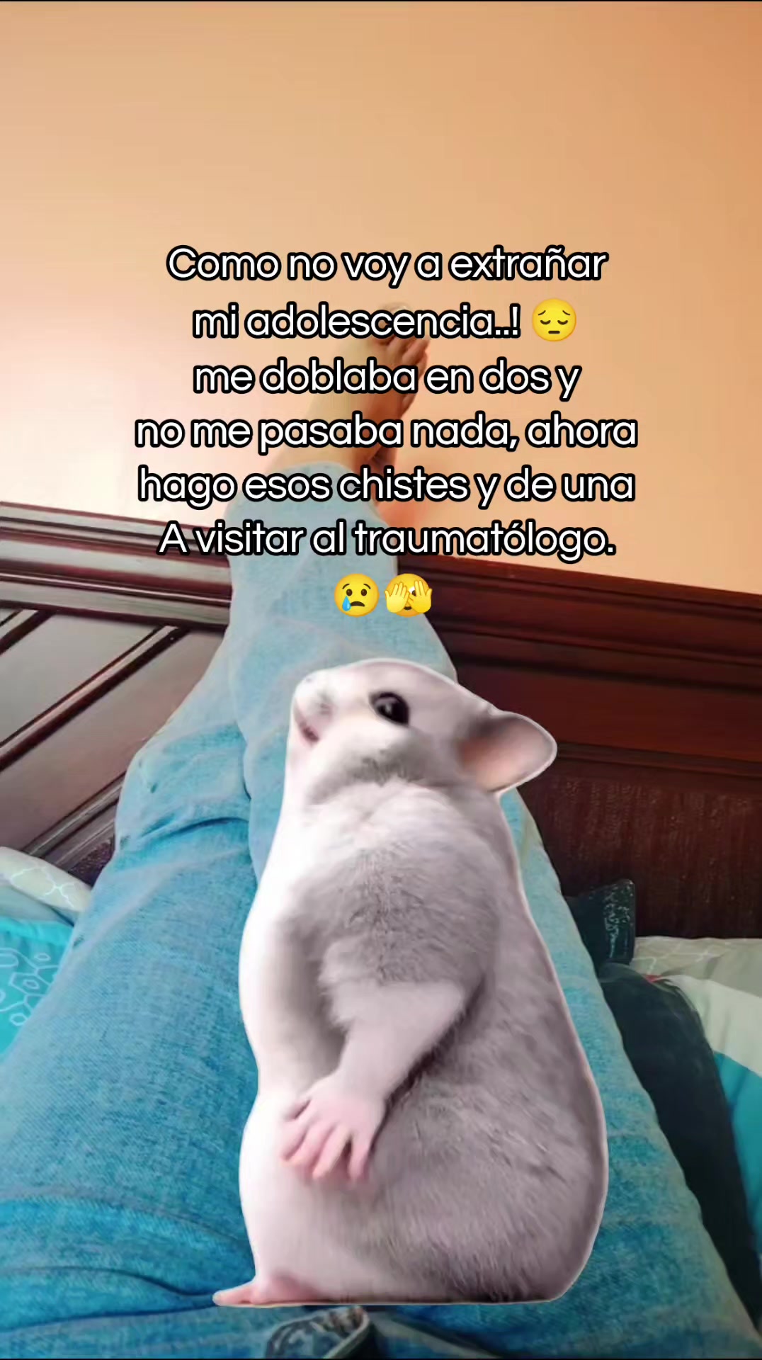 @flakitacr