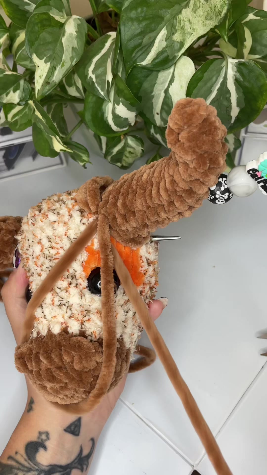 @Zero Gravity Crochet✨