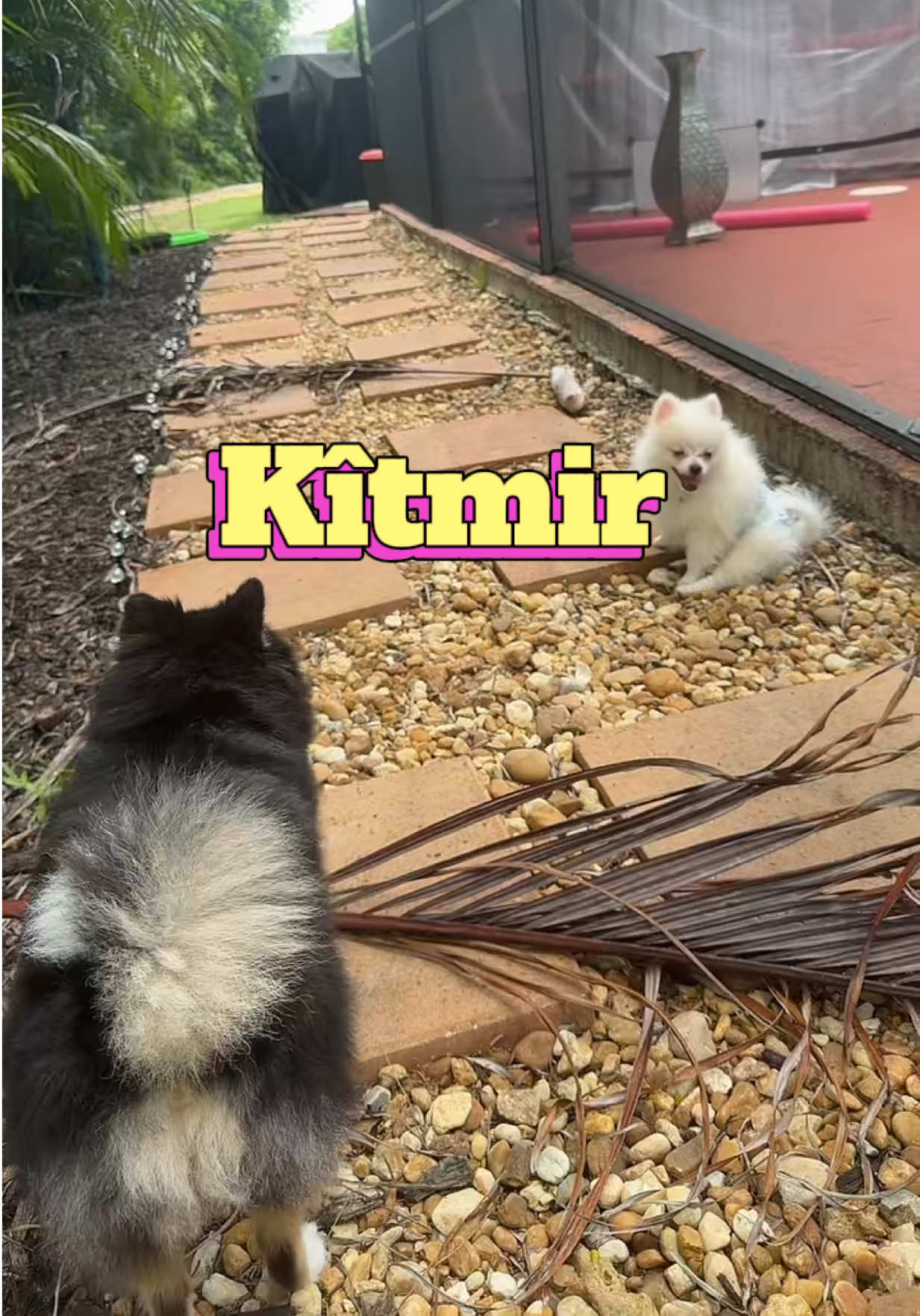 @kitmirandnazo
