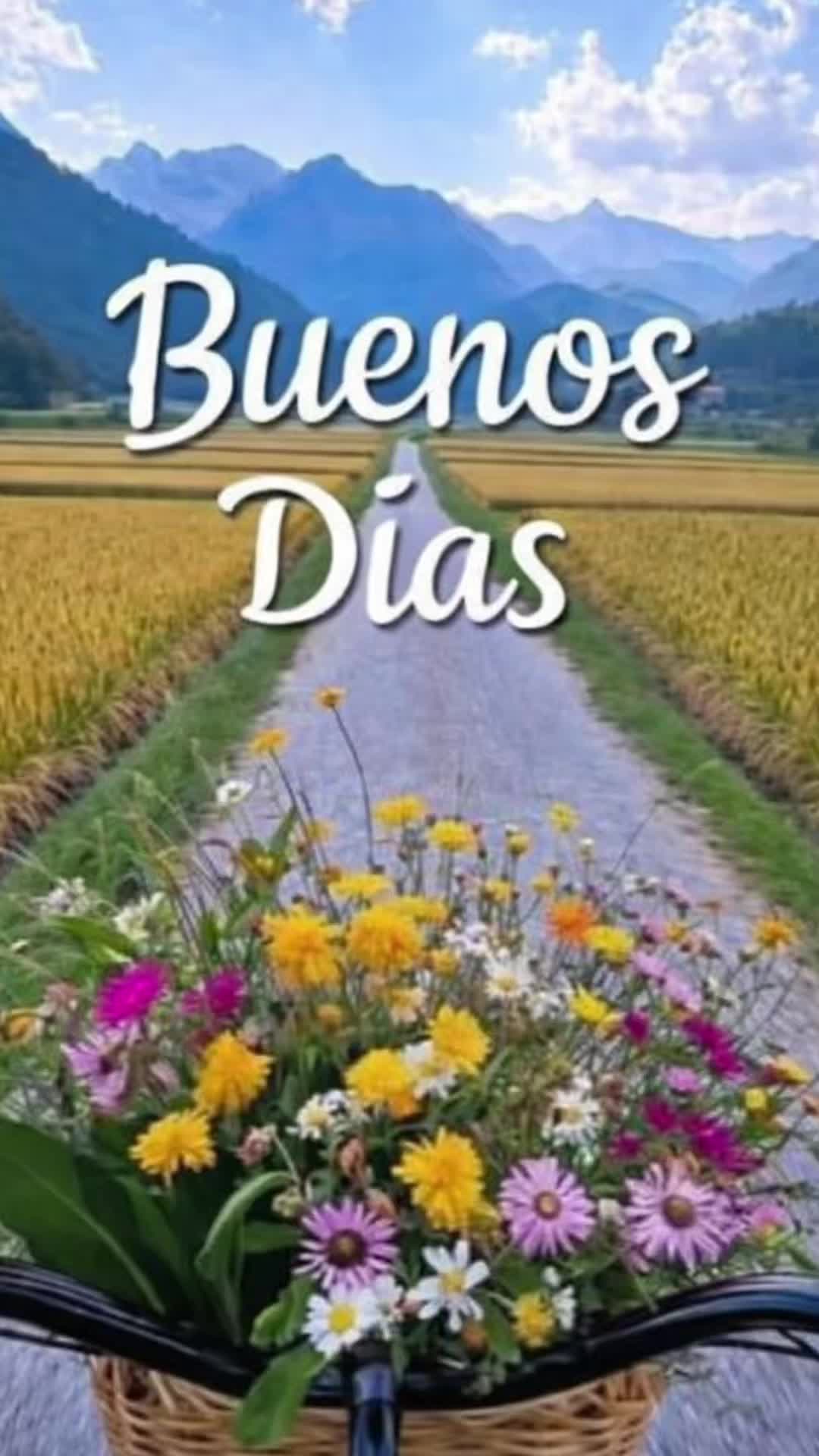 @Leticia Mejia