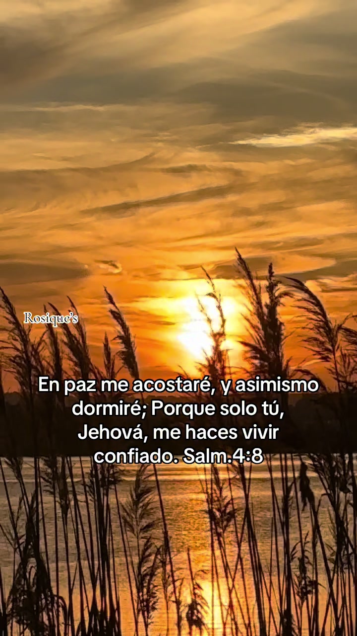 @Rosique NY