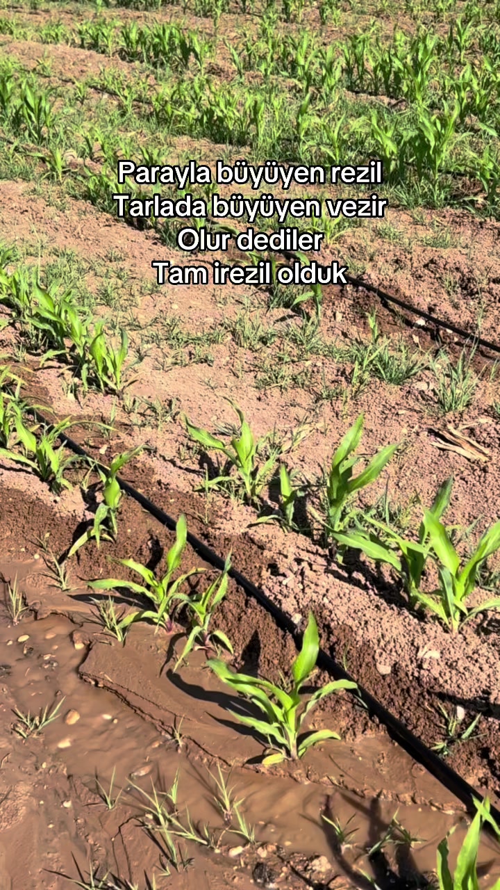 @EMİR AKTAŞ