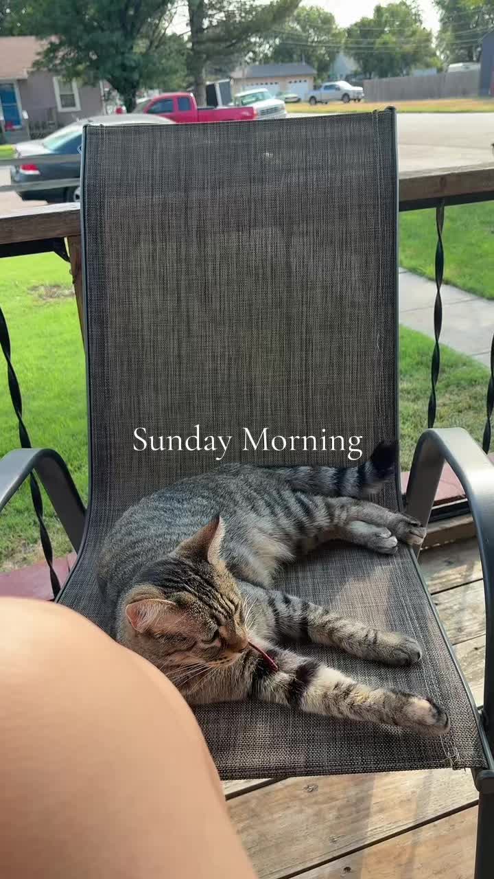 @Kat R