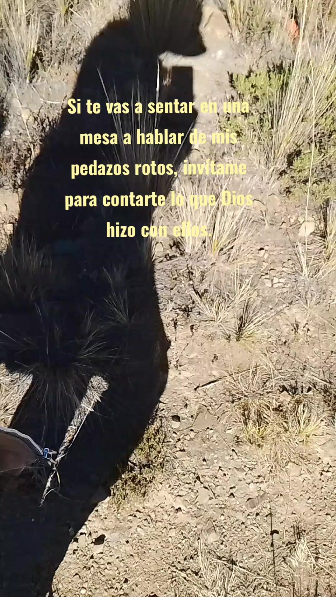@Eli🤍👑