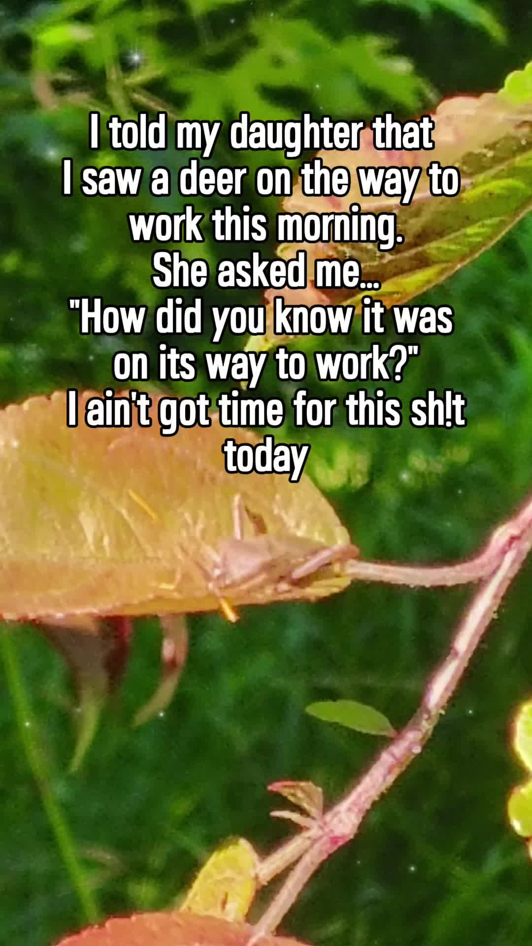 @Julie