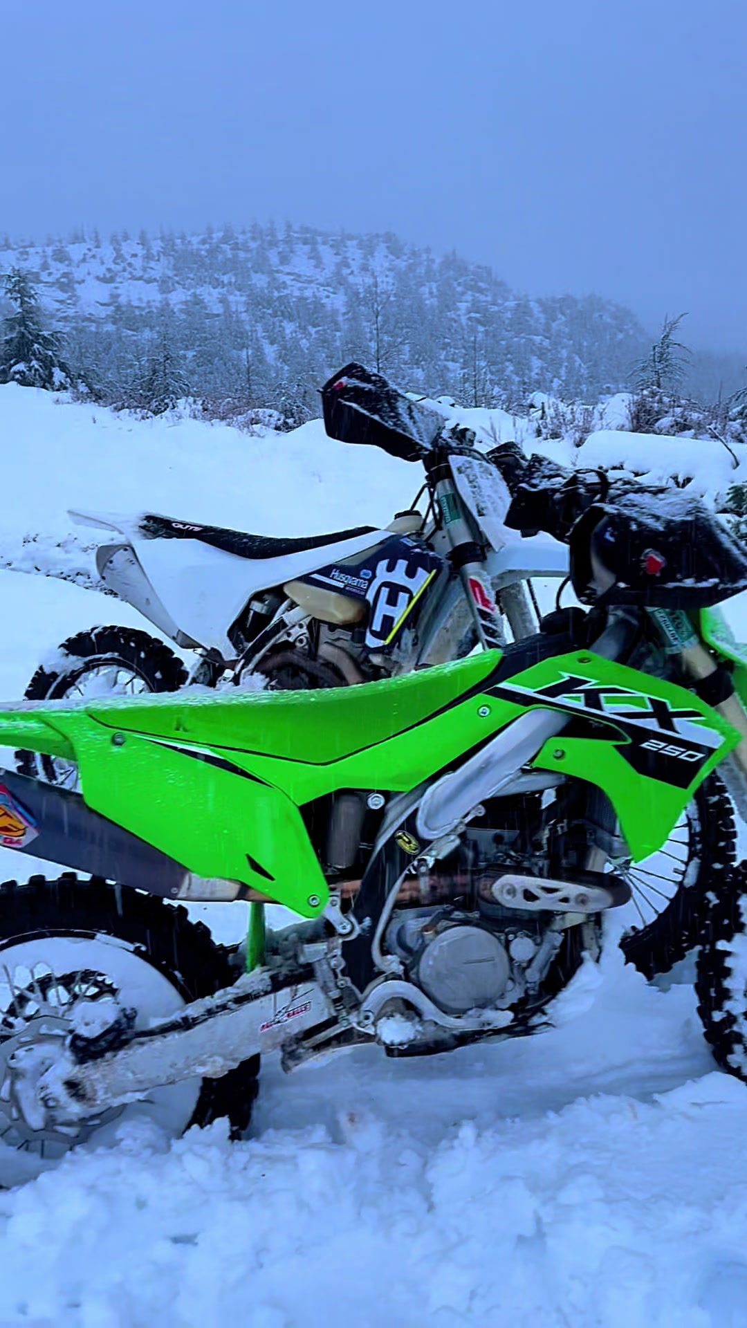 @rippin137