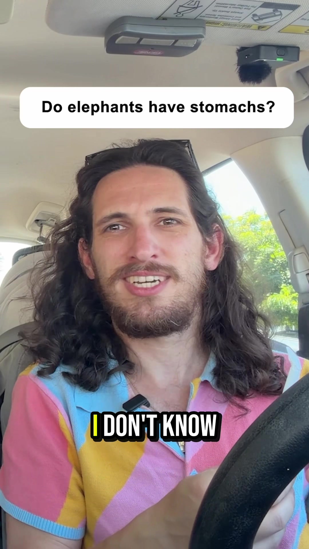 @sidneyraz
