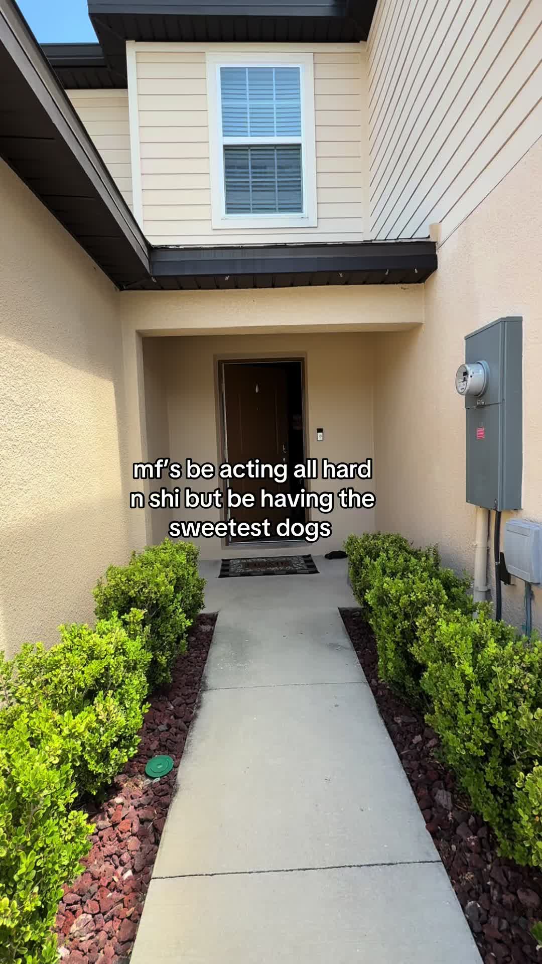 @mani.tu.lit_