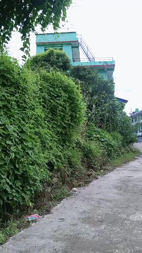 @bimala