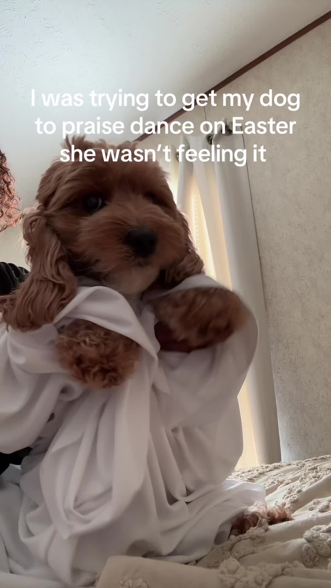 @ChanNicole