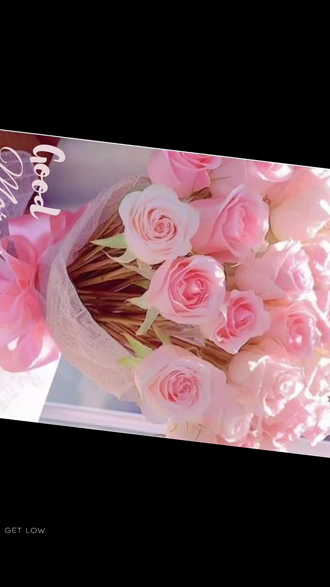 @꧁ Bebe P&eacute;rez 38 💯🐺🧸🌹😈&spades;️꧂