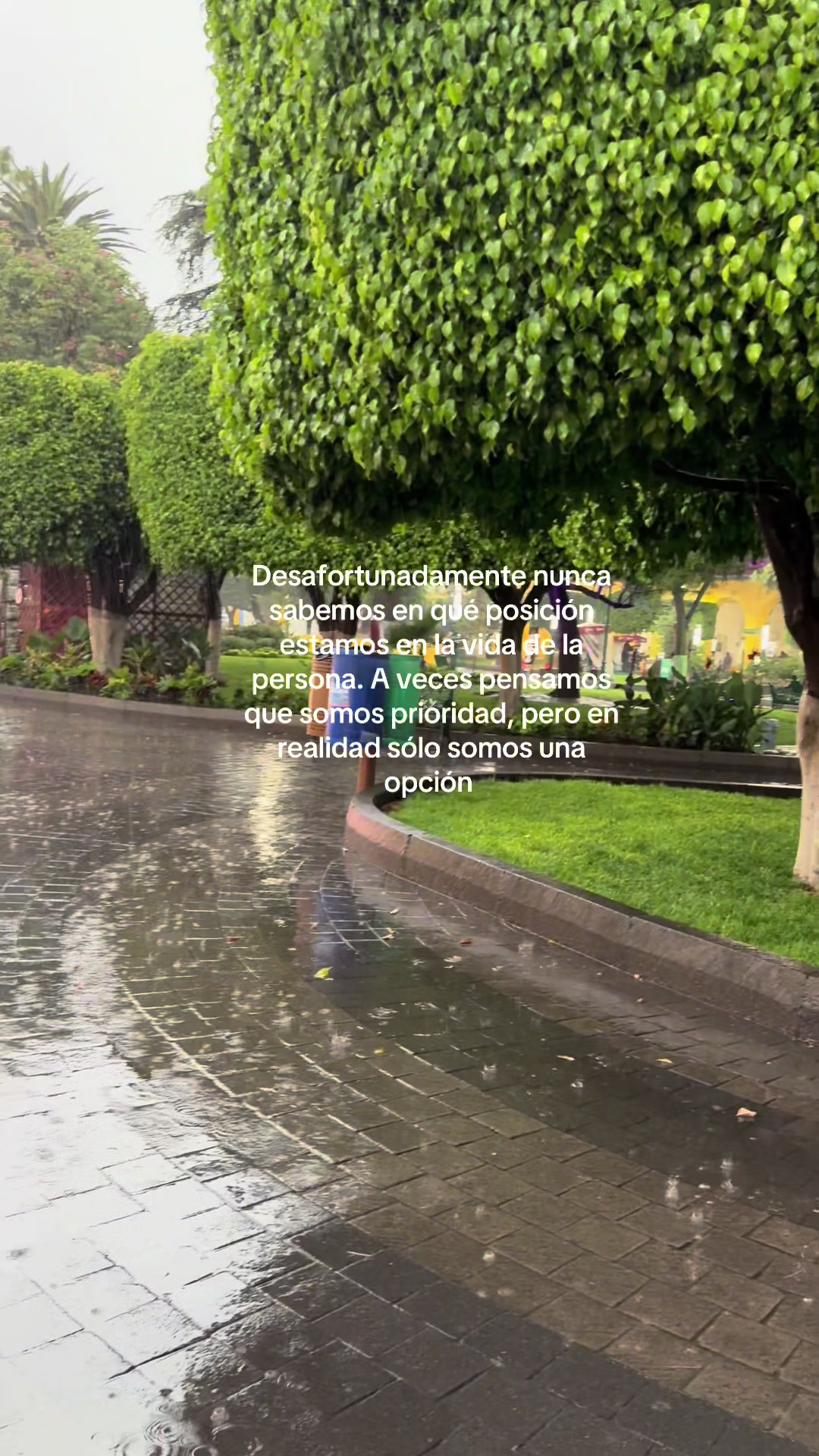 @Tere Varela