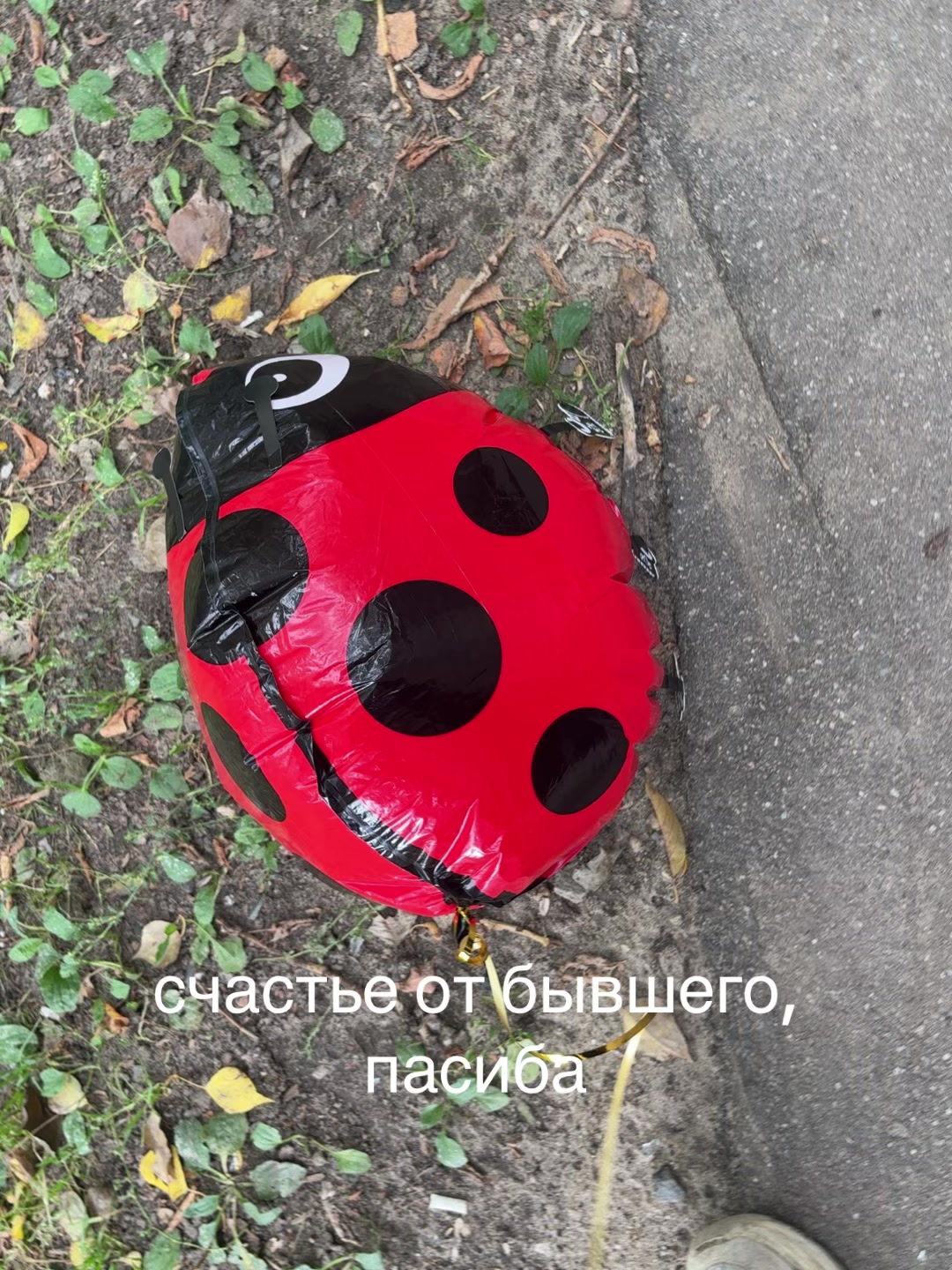 @О=симметрия