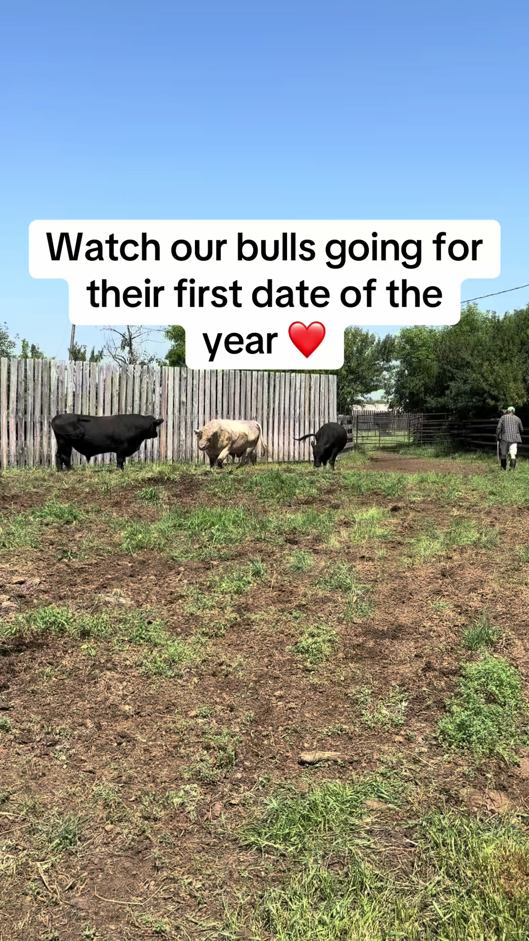 @KMT Farms 🇨🇦