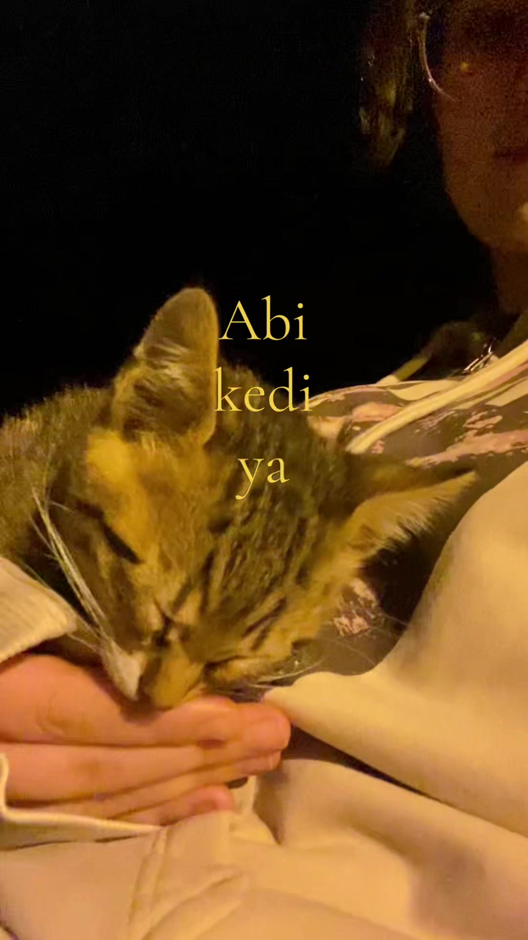 @Süt reçeli
