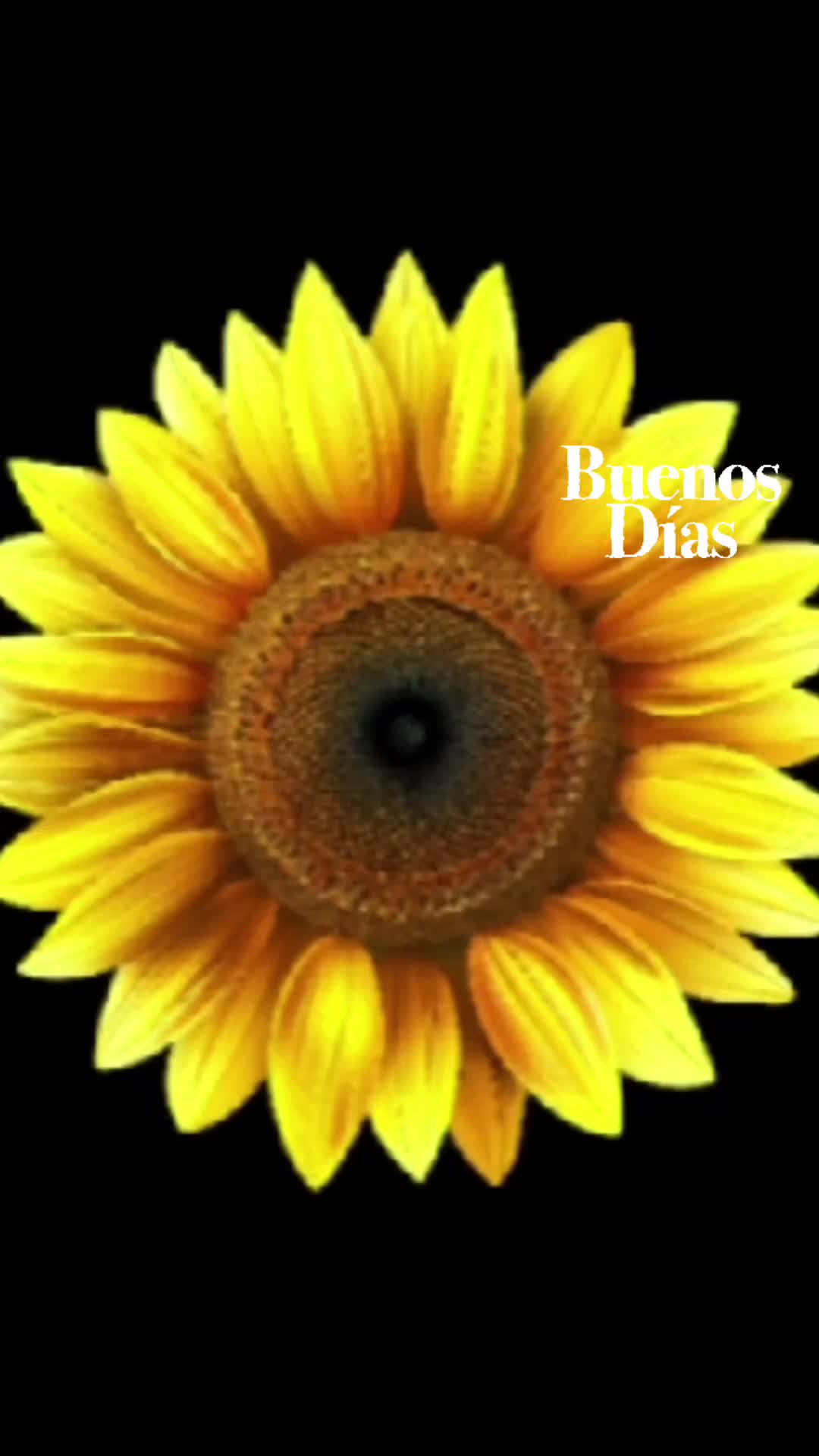 @enrp7 🇺🇸🫡🙏PHIL👑🐬🦅🌍🕊🐬