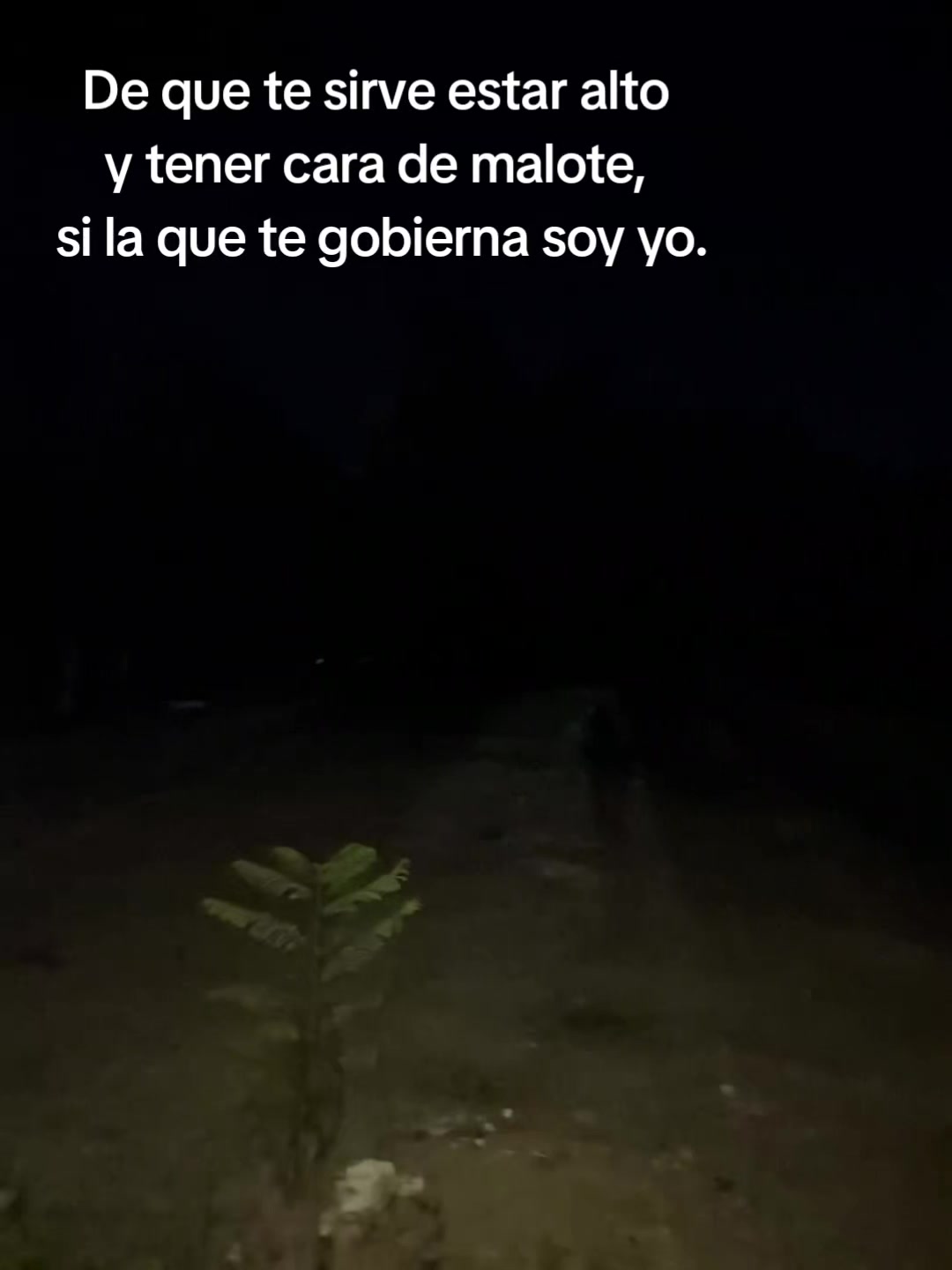 @Mariana 🐢🍒