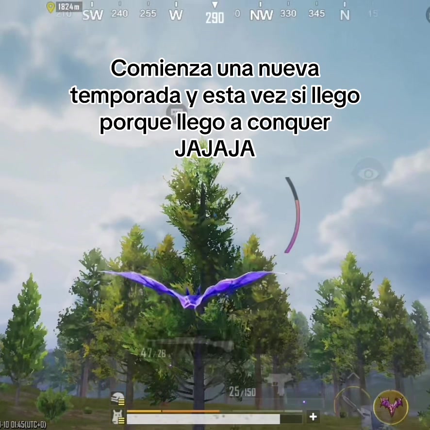 @donholguin