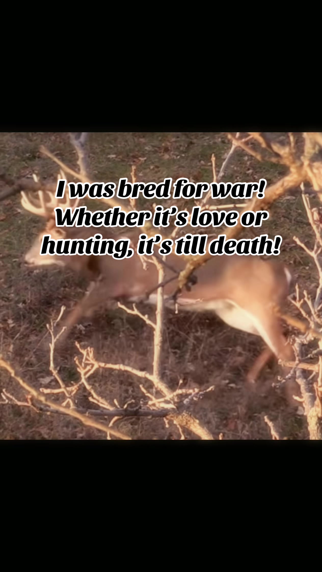 @🦌 Megabucks Outdoors 🦌