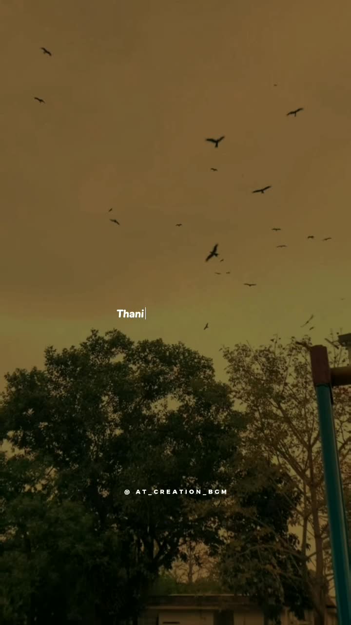 @ððœð¬ð»ð®ðªðœð²ðžð·ð«ð°ð¶ ð¶