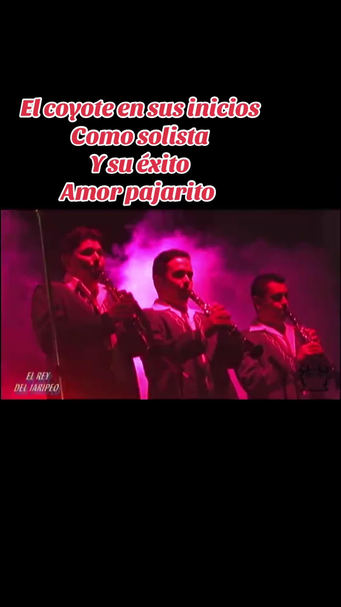 @Tuba_tambora