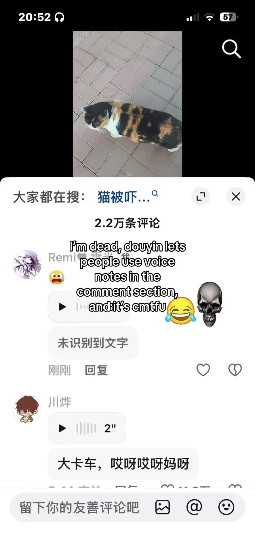 @aurora🕸️ 𰻝