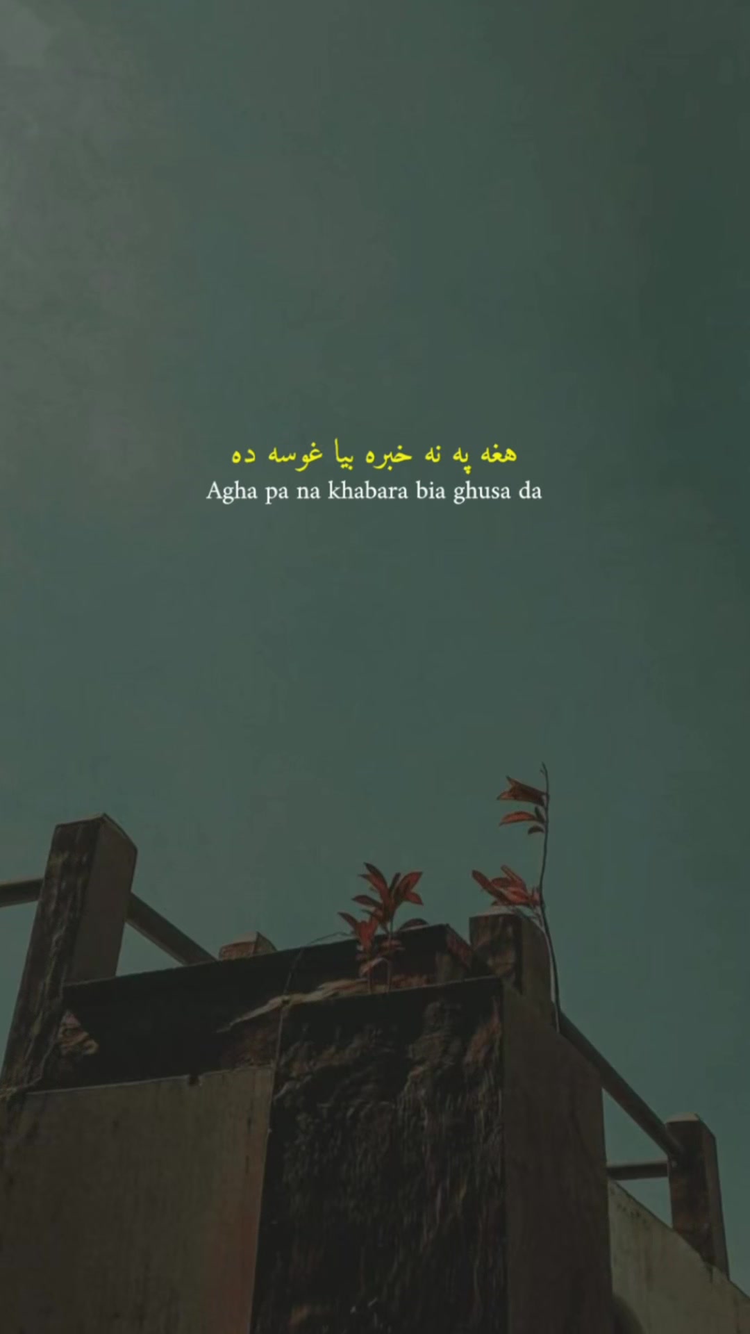 @ɴᴀᴢᴇᴇʀ ོ