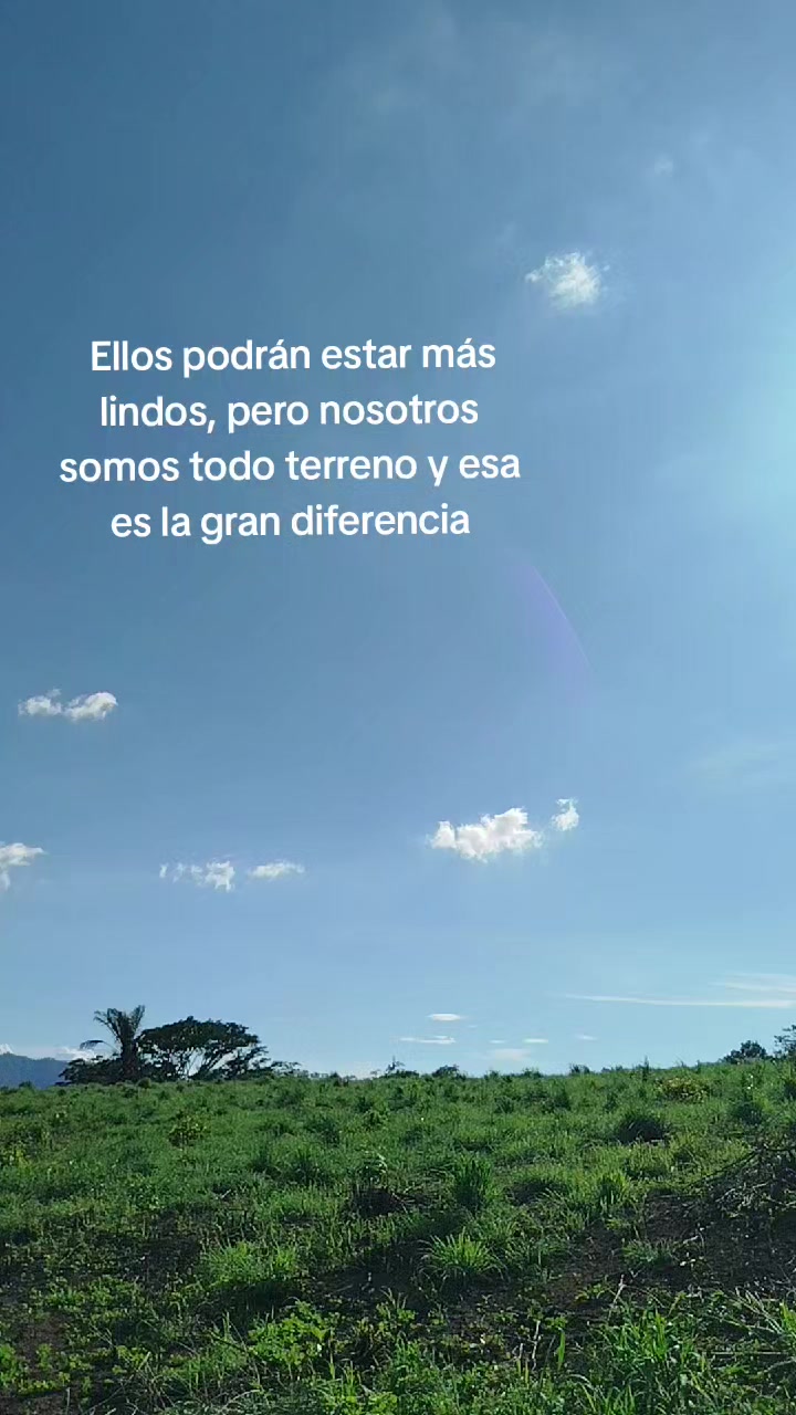 @Alonso._.🪫