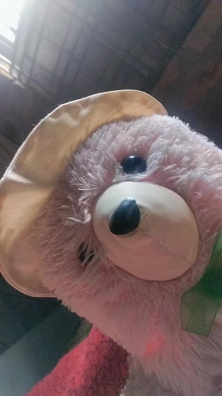 @jesmin nahar