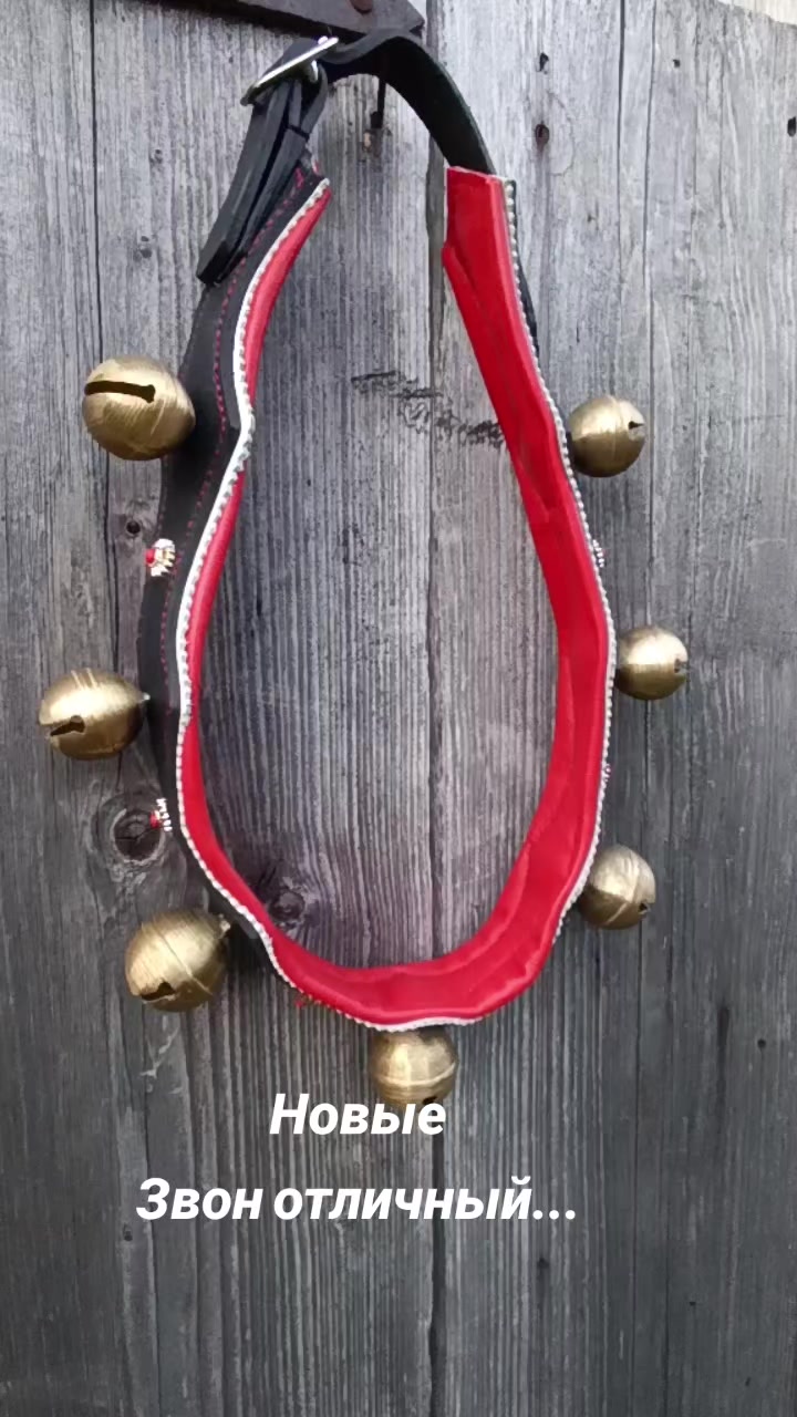 @Елена