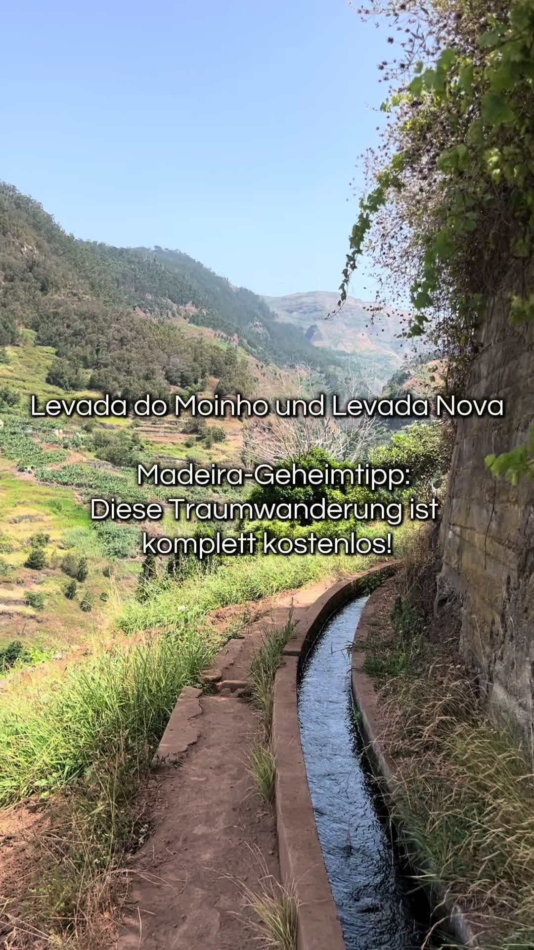 @Viola