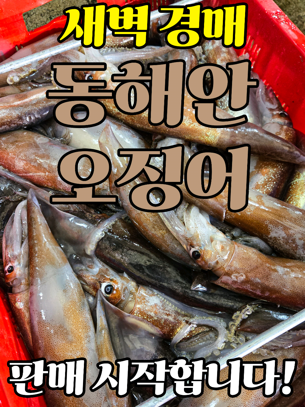 @어부와농부