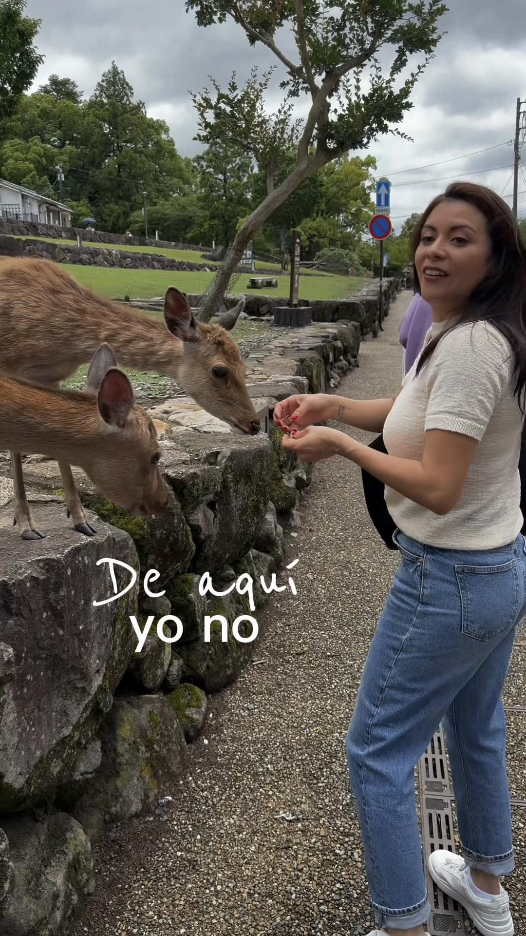 @María José