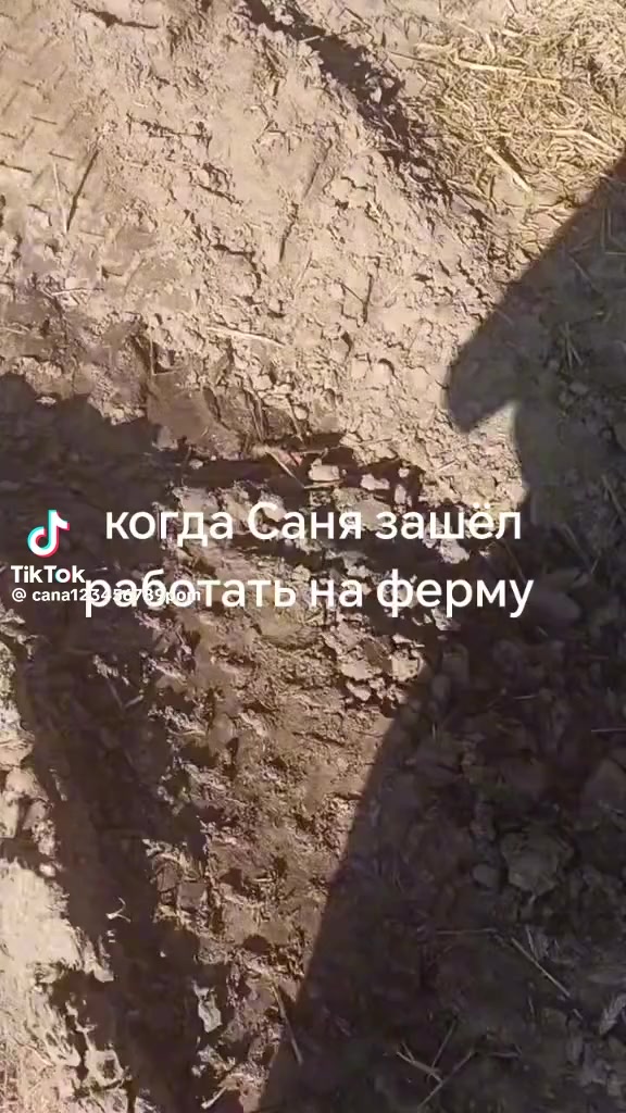 @sereqa812 Серега