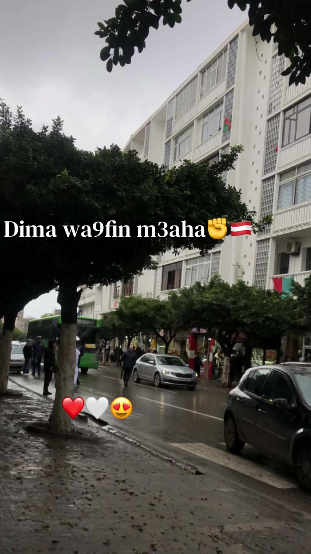 @Anfel🪩