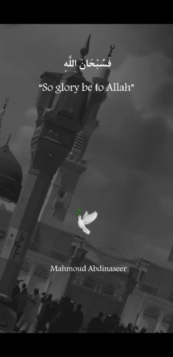 @Mahmoud Abdinaseer 🕊