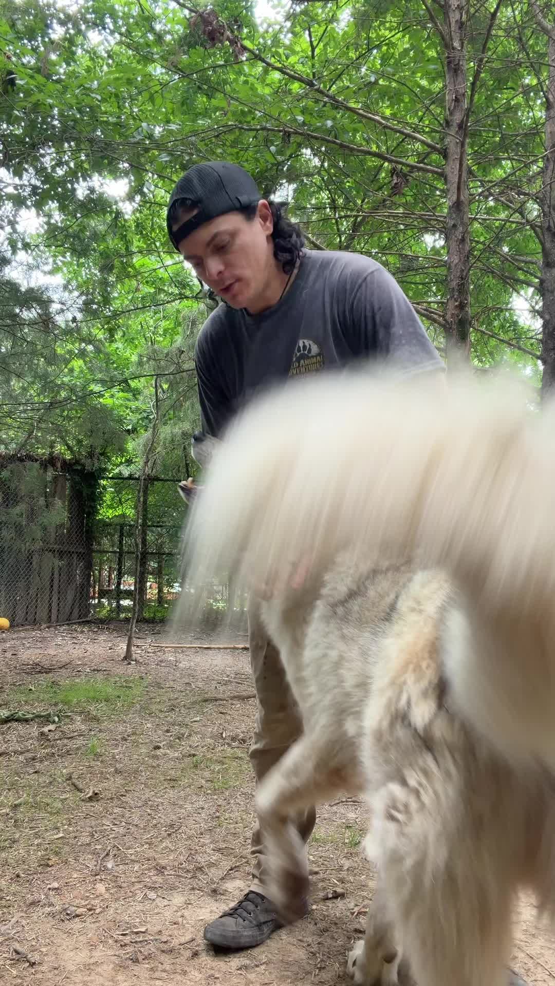 @Liondad87🦁